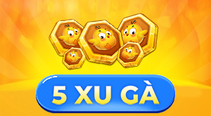 5 Xu Gà