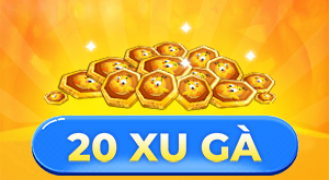 20 Xu Gà